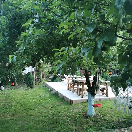 Casa Noastra Hotel Orsova Luaran gambar