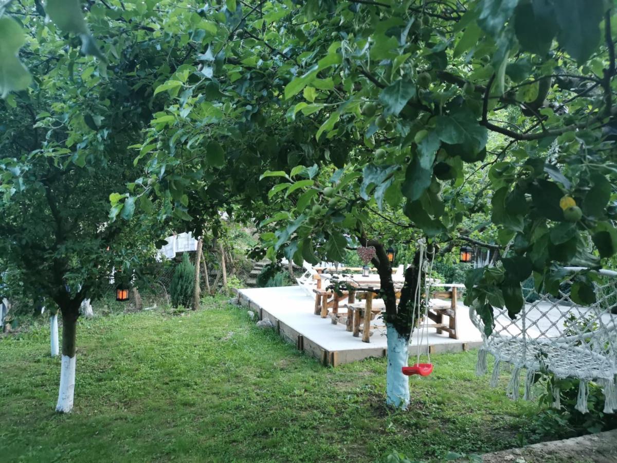 Casa Noastra Hotel Orsova Luaran gambar